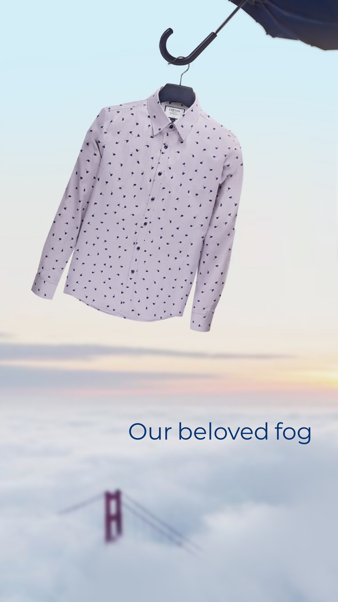 Cotton the First — Our beloved fog