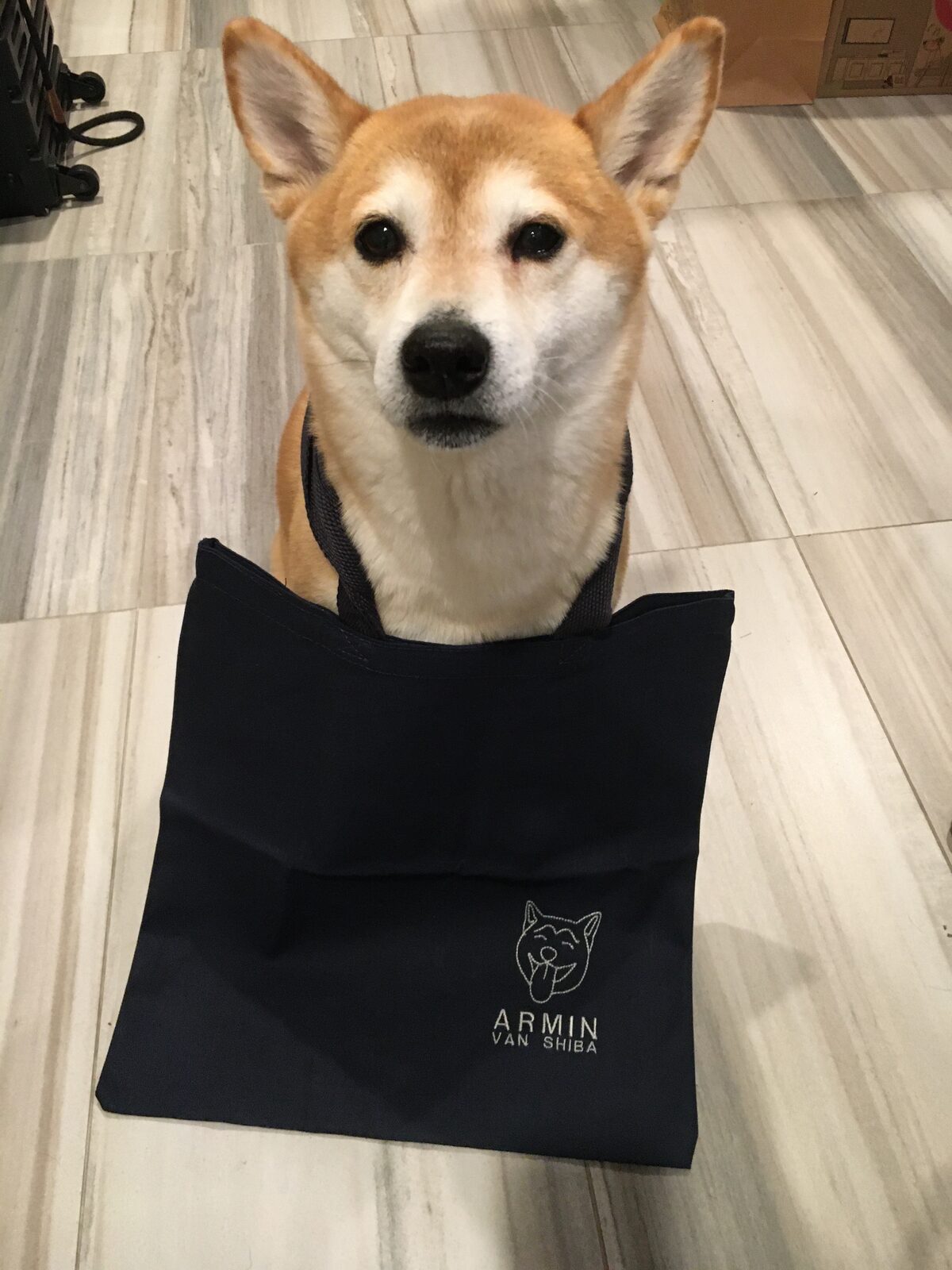 Armin the Shiba Inu with custom Cotton the First tote bag