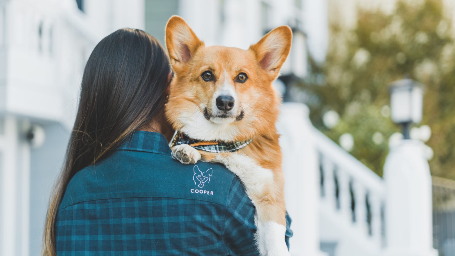 Back view — Cooper embroidery detail on teal plaid shirt with Corgi